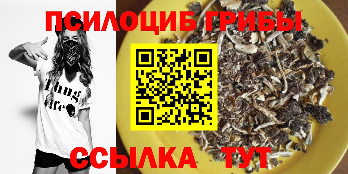 Галлюциногенные грибы Psilocybine cubensis  Галлюциногенные грибы Cubensis  Джанкой  Вход с VPN 